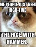 Image result for Grumpy Cat Memes Funny