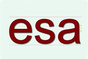Image result for Logo Esa Togo