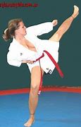 Image result for Famous Martial Arts Uniforms