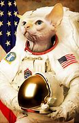 Image result for Generate a Image of a Astronaut Cat Meme