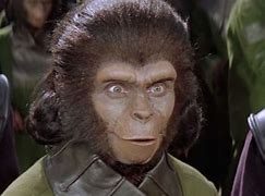 Image result for Planet of the Apes Meme You Fools