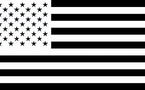 Image result for Flag Logo Black and White
