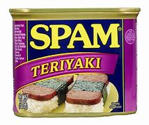 Image result for Spam Costume