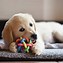 Image result for Squishy Chew Toy