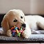 Image result for Best Tiny Puppy Chew Toys