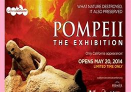 Image result for Pompeii Museum Exhibit