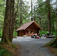 Image result for Wooden Cabin House in Forest