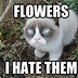 Image result for Flower Memes for Women