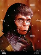 Image result for Ape Side Profile