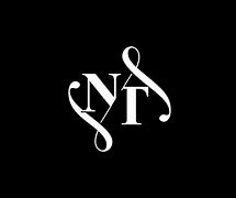 Image result for NT Concepts Logo