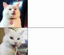 Image result for Smudge Cat Meme Generator