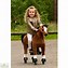 Image result for Horse Racing Toys