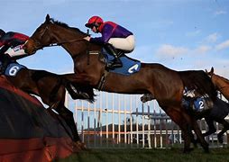 Image result for Bold Gold Race Horse