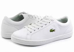 Image result for Lacoste Sport