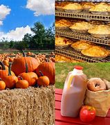 Image result for apple hill pumpkins patches