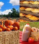 Image result for Apple Hill Halloween