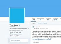 Image result for Blank Twitter Profile