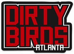 Image result for Atlanta Falcons Dirty Bird PNG