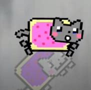 Image result for Nyan Cat Falls in Love