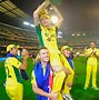 Image result for Australia Wins Cricket World Cup