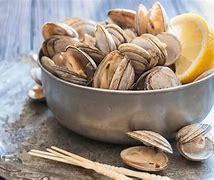 Image result for Different Types of Clams