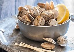 Image result for Images of Clams