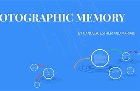 Image result for Photographic Memory