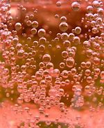 Image result for Pink Champagne Bubbles