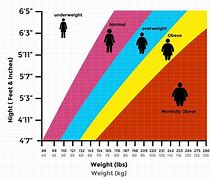 Image result for Weight Lifting Chart