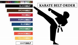 Image result for Martial Arts Belt Ranks