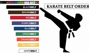 Image result for most dangerous karate out there