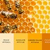 Image result for Yellow Hex Code Shades