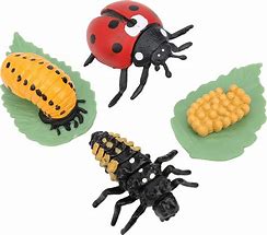 Image result for Rubber Bug Toy