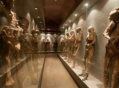 Image result for Mexican Mummy Replica