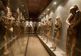 Image result for Mummy Museum Mexico