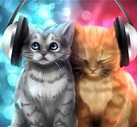 Image result for Cat Wallpapers That Are Cute and Spacey