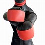 Image result for Wrestling Dummy