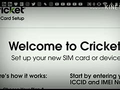 Image result for Phone Plug Cricket