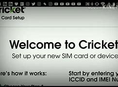 Image result for Phone Plug Cricket
