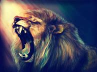 Image result for Cool Lion Wallpaper iPhone