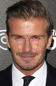 Image result for Attractive Male Nose