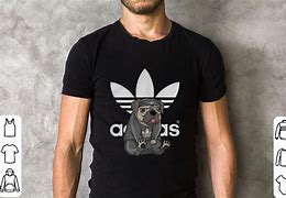 Image result for Pug Adidas