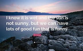 Image result for Sun Quotes Funny