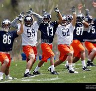 Image result for Kevin Malast Bears