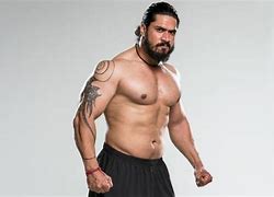 Image result for Indian Professional Wrestlers