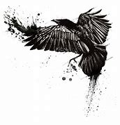 Image result for Crow and Raven Art Prints