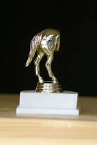 Image result for Last Place FF Trophy