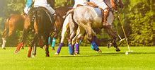 Image result for Polo Game
