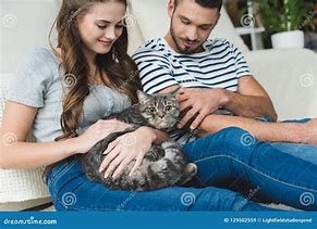 Image result for Person Petting Cat