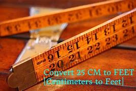Image result for How Many Feet Is 25 Cm